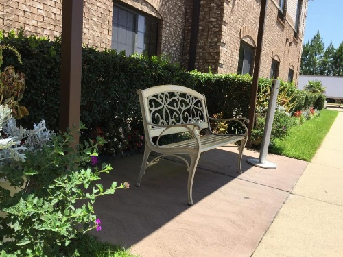 Comfort Suites Marshall image 7