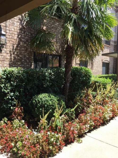 Comfort Suites Marshall image 9